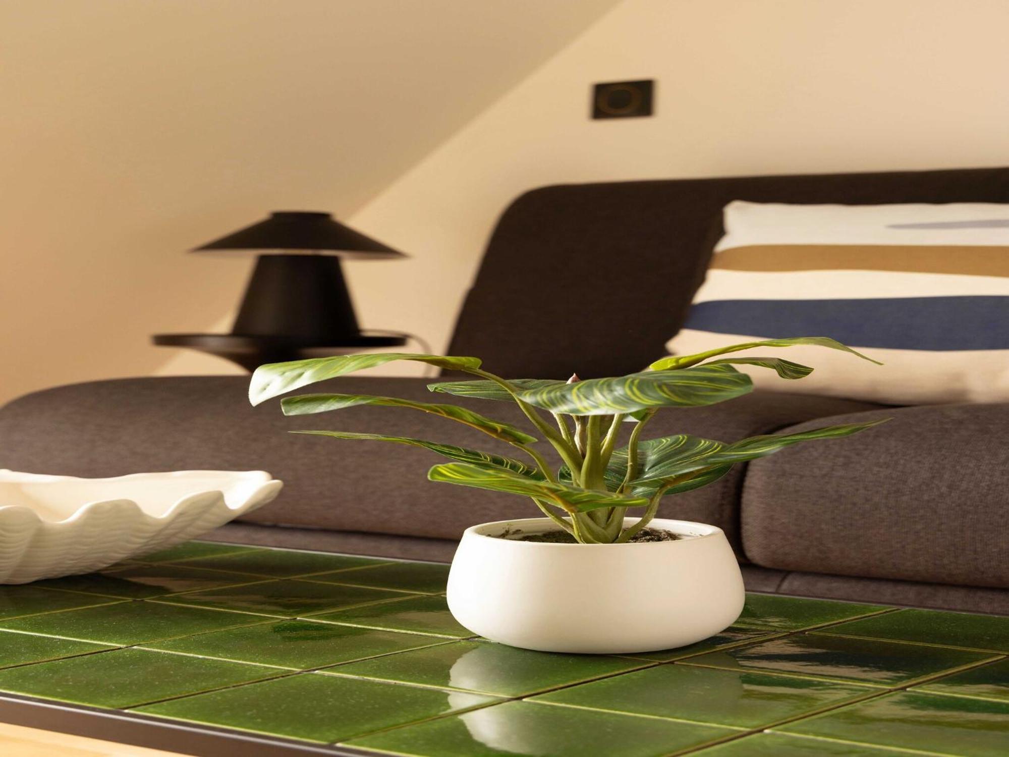 Vakantiehuis Charming A C - 2p- Montorgueil *